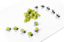 Szpikulce do koreczków - mrówki