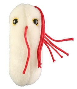GiantMicrobes - Salmonella [Salmonella typhimurium]