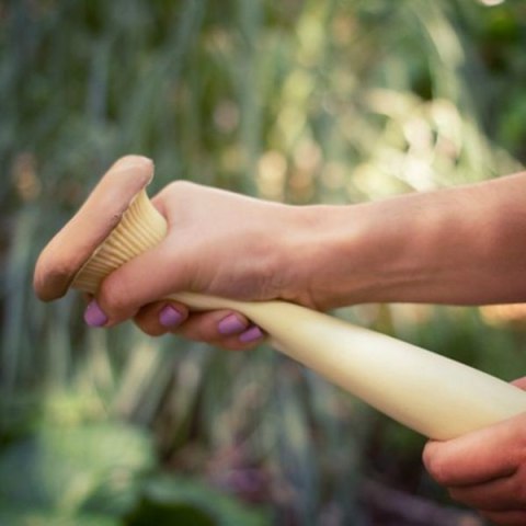 Antystresowy grzyb - matsutake [gąska sosnowa]