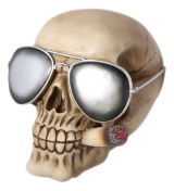 Skarbonka czaszka w okularach