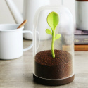 Pojemnik kuchenny na sypkie produkty - Sprout Jar