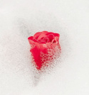 Mydlane róże do kąpieli