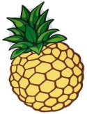 Ręcznik plażowy - ananas