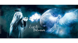 Kubek - Harry Potter - Dumbledore i patronus