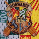 Kufel - Harry Potter - znicz i domy Hogwartu