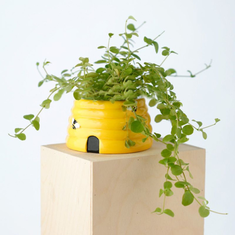 Doniczka w kształcie ula