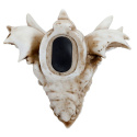 Skarbonka czaszka smoka II